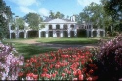 Bayou Bend Gardens