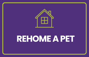 Rehome