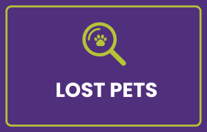 Lost Pets