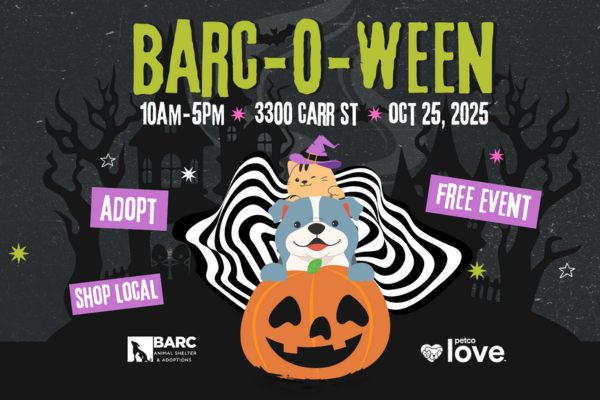 BARCOWEEN Flyer