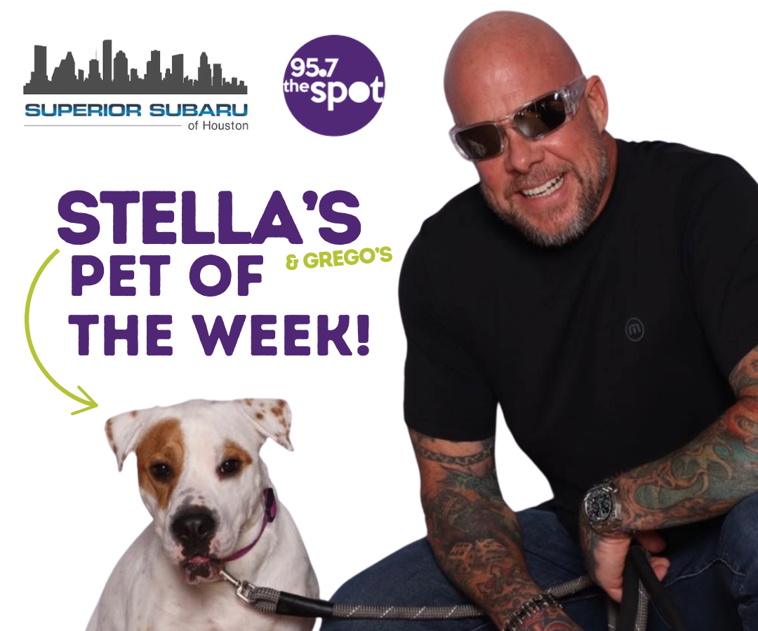 Stella's Pet of the Week