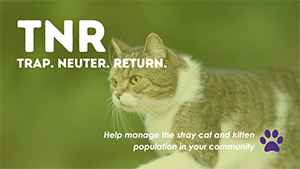Trap, Neuter, Return
