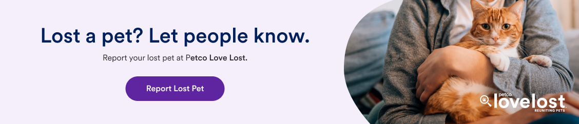 Report Your Lost Pet to Petco Love Lost
