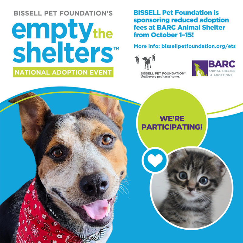 Empty the Shelters Graphic