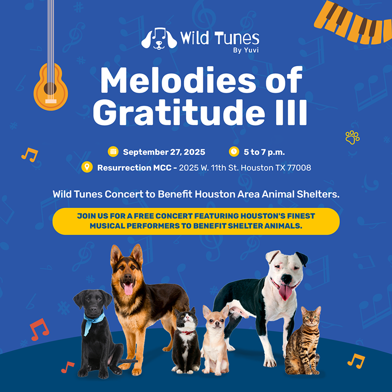 BARC Gratitude Graphic