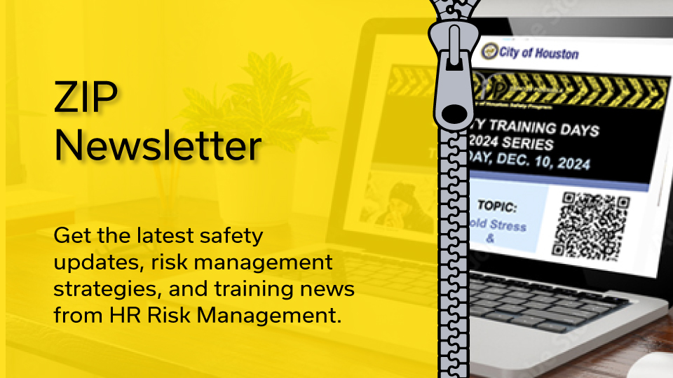 Zip Newsletter Image