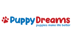Puppy Dreams