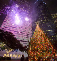 Tree and Fireworks