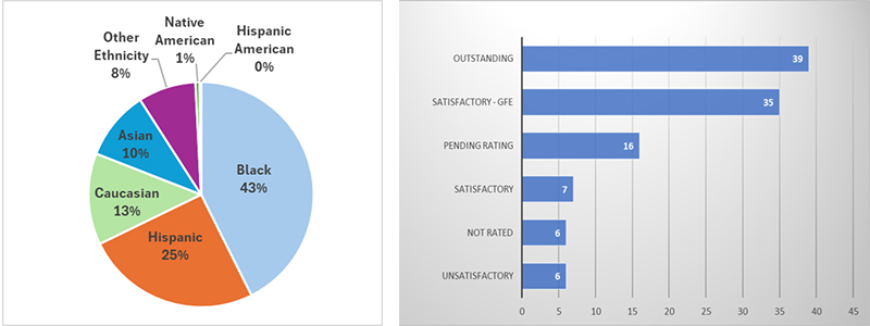 Firms and Ratings