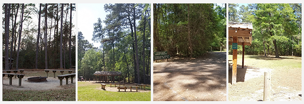 LHWP Chinquapin Group Site Collage