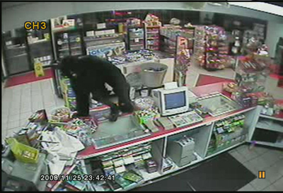 Suspect 2