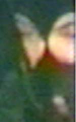 Suspect 3