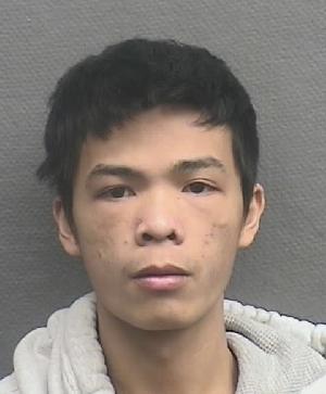 Luan Hoang Vu