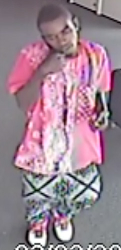 wanted Suspect
