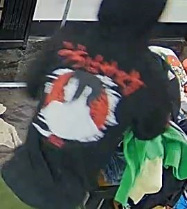 Surveillance photos