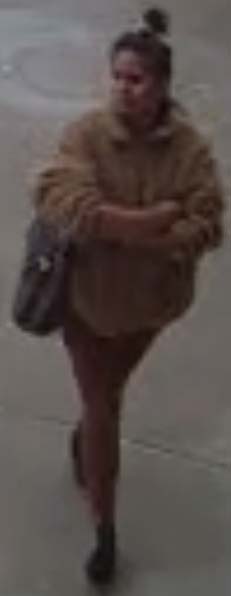 wanted suspect