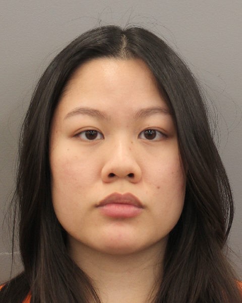 ARRESTED - Kathy Vu