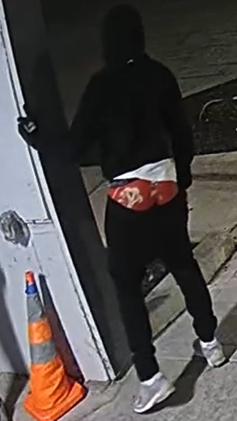 wanted suspect # 1