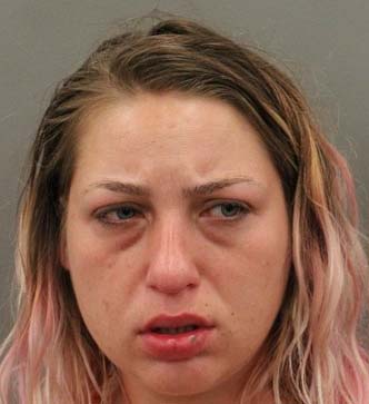 suspect Lisa Venglar